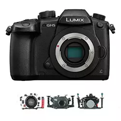 PANASONIC GH5