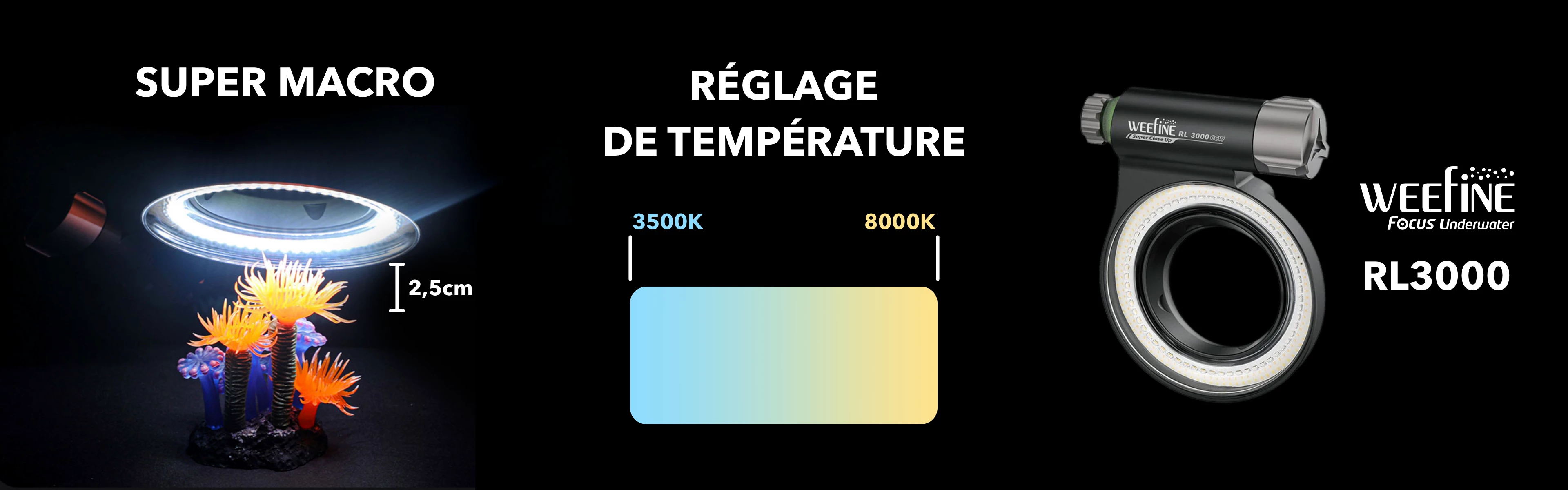 RL3000 2.png