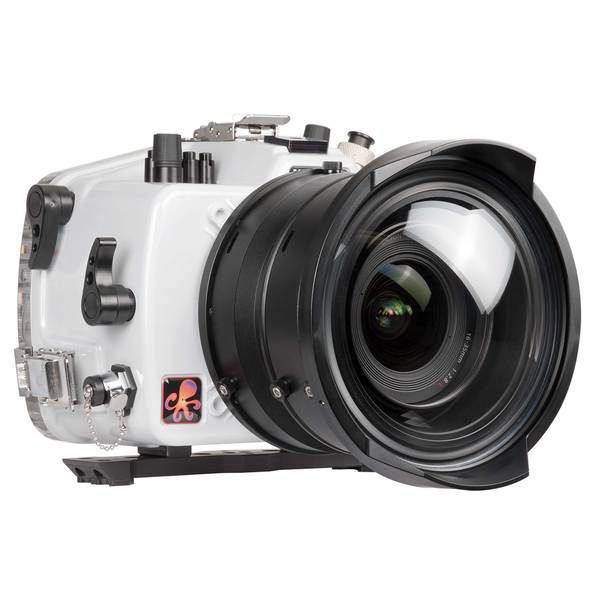 Ikelite DL caisson étanche pour Canon EOS 6D
