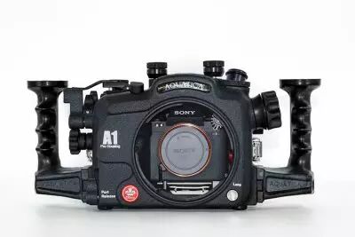 Aquatique A1