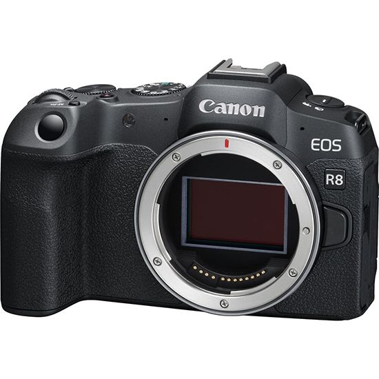 Canon EOS R8 boitier nu