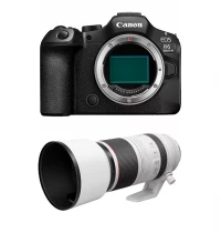 Canon EOS R6 III + RF 100-500 mm F/4.5-7.1L IS USM