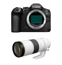 Canon EOS R6 III + RF 200-800 mm f/6,3-9 IS USM