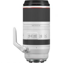 Canon RF 100-500 mm F/4.5-7.1L IS USM