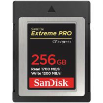 Carte CFExpress SanDisk 256 Go Extreme PRO Type B