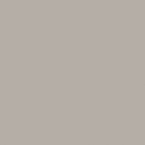 Fond papier gris Pursuit Gray - 127 BD