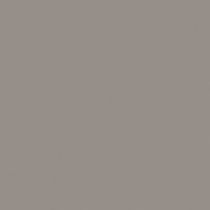 Fond papier gris Storm Gray - 129 BD