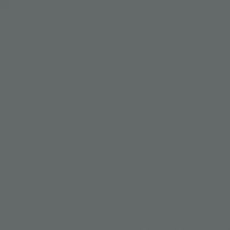 Fond papier gris Thunder Gray - 131 BD