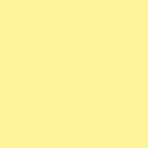 Fond papier jaune Light Yellow - 193 BD