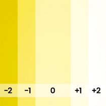 Fond papier jaune Light Yellow - 193 BD