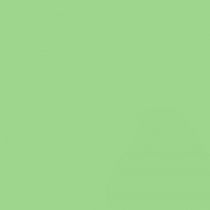 Fond papier vert Spring Green - 162 BD