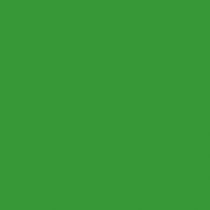 Fond papier vert VERI GREEN - 132 BD