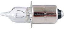Ikelite ampoule DS 125 et PCa