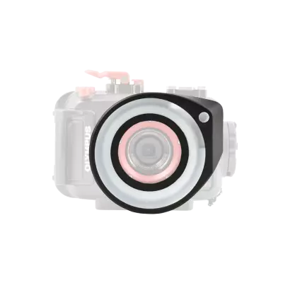 lg2_photodenfert