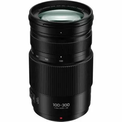 Panasonic 100-300 mm f/4.0-5.6 II Power OIS