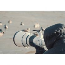 RF 800mm F5.6 L IS USM
